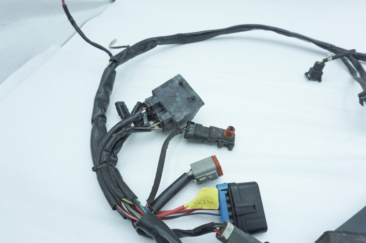 Wire Harness Loom Plug In Connector, 2001, Harley-Davidson, Touring, Electra Ultra, FLHTCUI