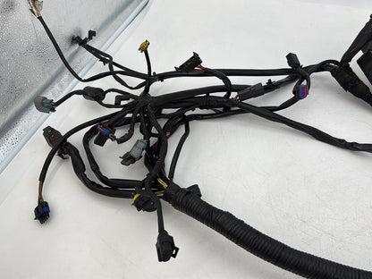 1999 - 2006 Harley-Davidson Dyna Super Glide Main Wire Wiring Harness Loom 69602-06
