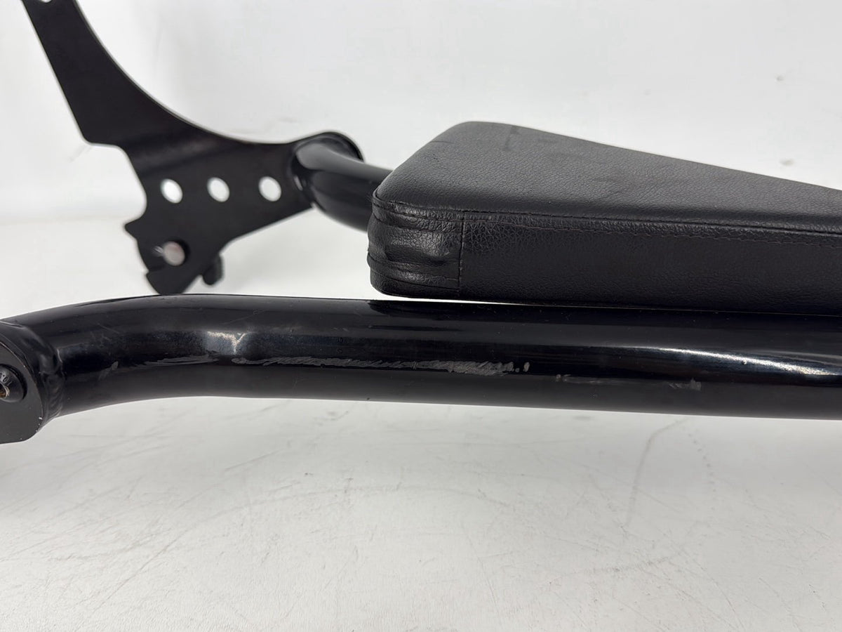 05 Harley Sportster XL883C 883 Custom OEM Rear Sissy Bar w/ Backrest Cushion Pad