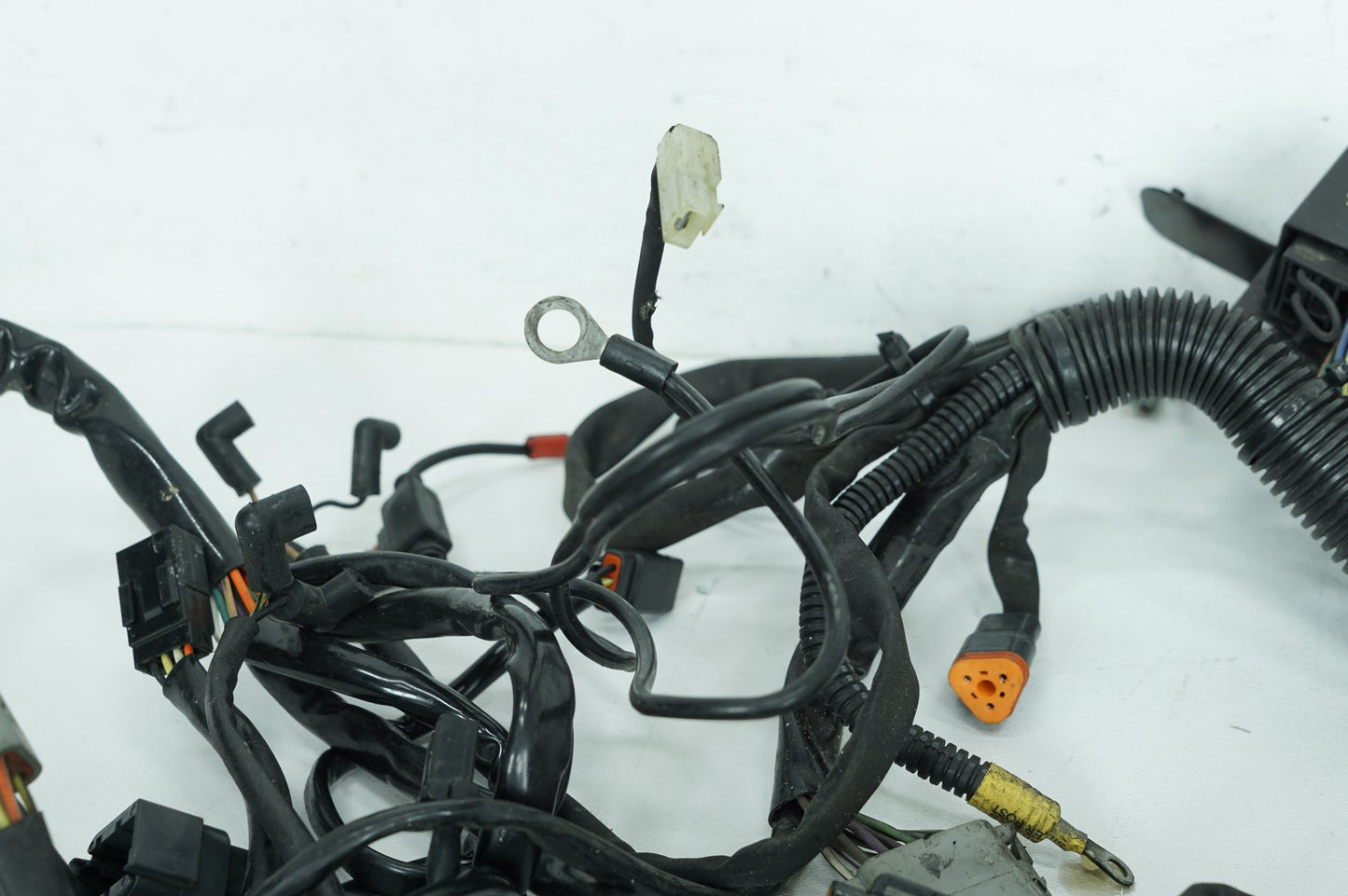1999 - 2006 Harley-Davidson Softail Heritage Main Wire Wiring Harness Loom 70216-04A