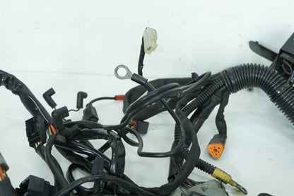 1999 - 2006 Harley-Davidson Softail Heritage Main Wire Wiring Harness Loom 70216-04A