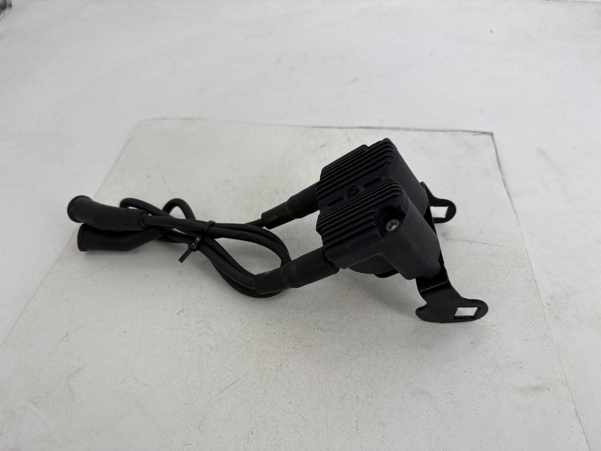 2007 Harley Electra Glide Touring CVO Eagle OEM Ignition Coil Spark Plugs Cable