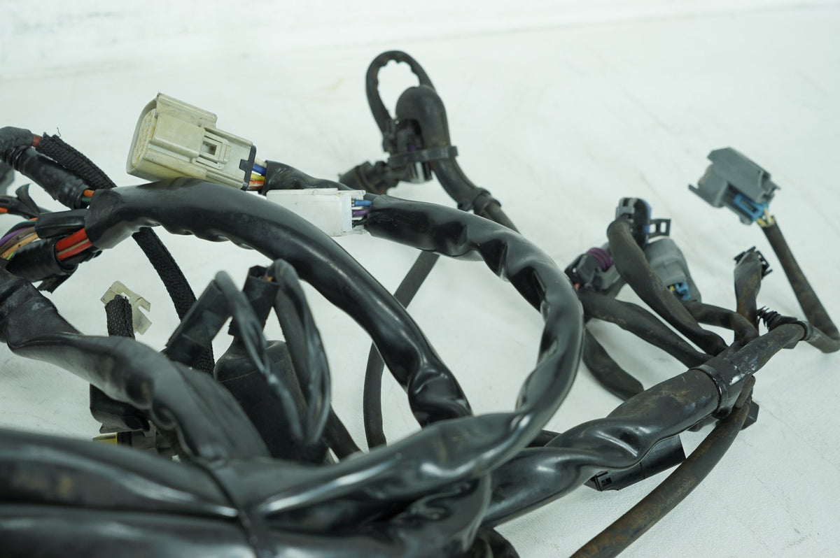2008 Harley Dyna FXDWG 105th Wide Glide OEM Main Wire Wiring Harness Loom