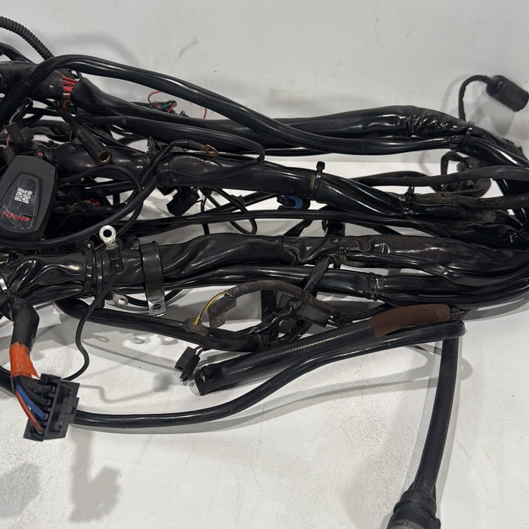 1999 - 2006 Harley-Davidson Touring Electra Glide Ultra Main Wire Wiring Harness Loom 70985-05