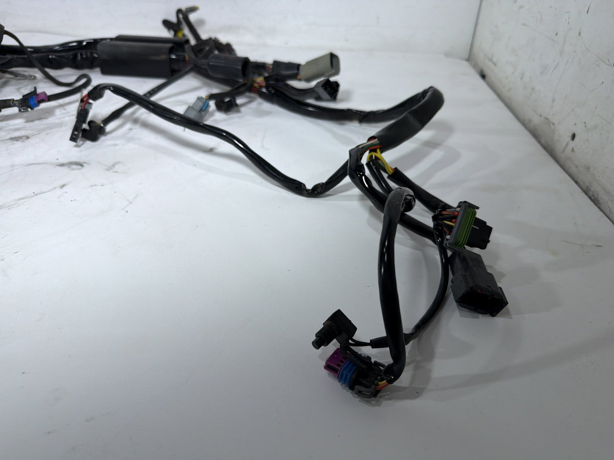 2006 Harley Softail Deuce FXSTDI OEM Main Wire Wiring Harness Loom EFI