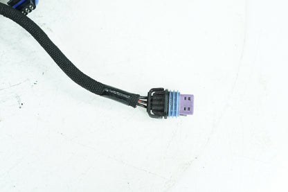 2013 - 2022 Harley-Davidson Sportster Iron Engine Bay Wire Wiring Harness 69200077