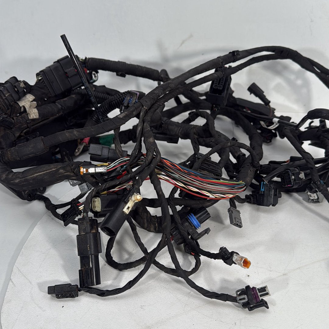 2017 - 2026 Harley-Davidson Softail Heritage Classic 114 Main Wire Wiring Harness Loom ABS 69201492