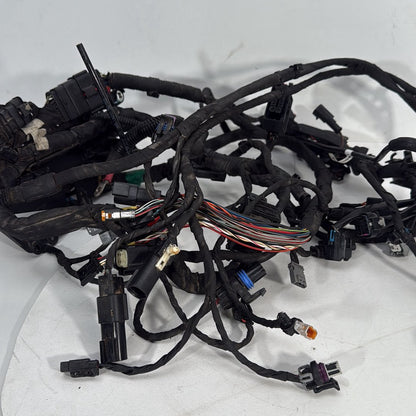 2017 - 2026 Harley-Davidson Softail Heritage Classic 114 Main Wire Wiring Harness Loom ABS 69201492