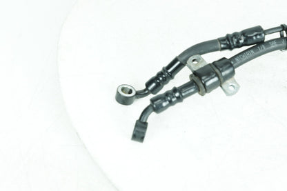 2004 - 2022 Harley-Davidson Sportster Iron 883 Rear Brake Hose Line Pipe  	44429-06B