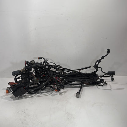 1999 - 2006 Harley-Davidson Touring Electra Glide Ultra Main Wire Wiring Harness Loom 70985-05