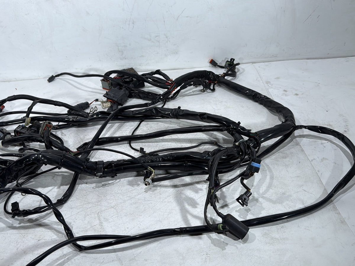 2003 Harley Electra Glide Touring Ultra OEM Main Wire Wiring Harness Loom