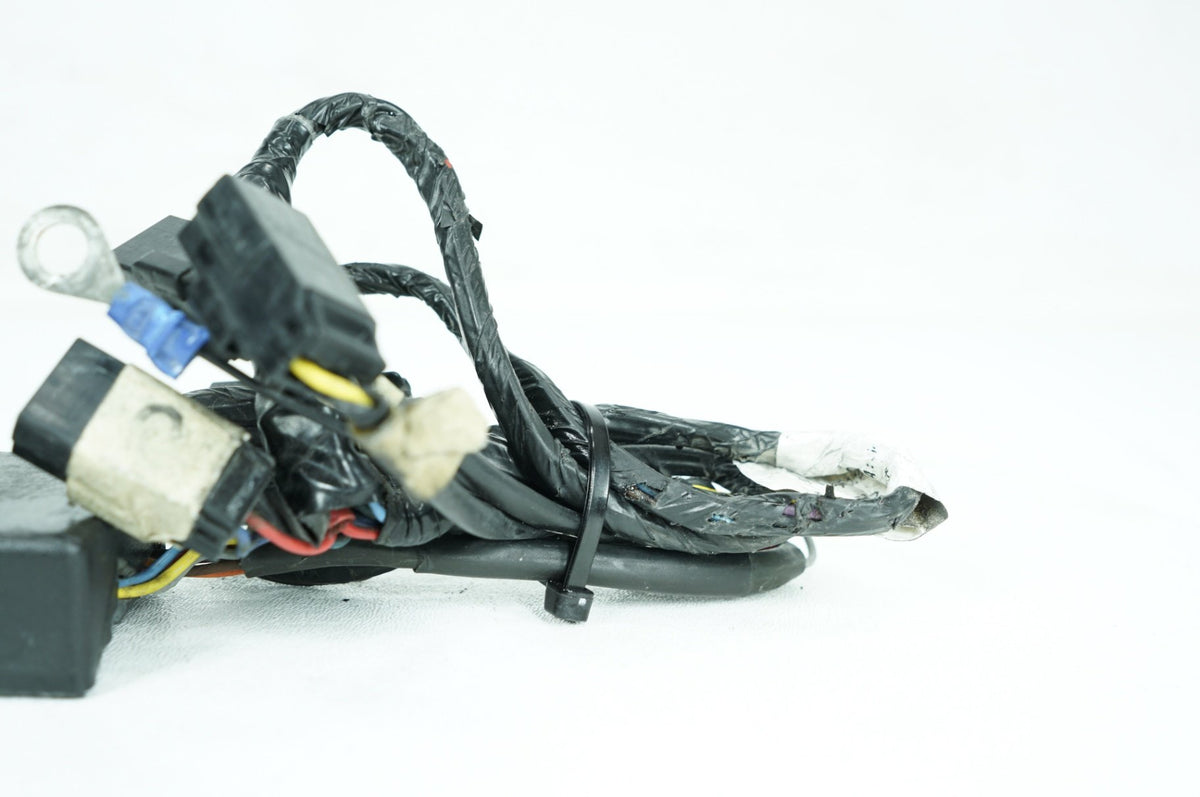2012 Harley-Davidson Touring FLHX - Security Alarm Control Module Siren