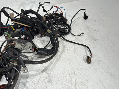 1996 Harley Road King Touring Police FLHPI OEM Main Wire Wiring Harness Loom