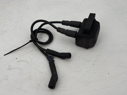 1999 - 2006 Harley-Davidson Touring Electra Glide Classic Ignition Coil Spark Plugs Cable