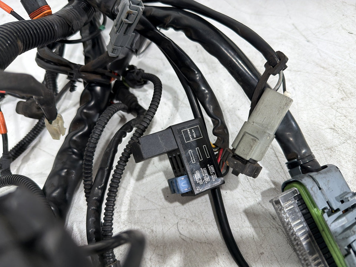 2006 Harley Electra Glide Touring Classic OEM Main Wire Wiring Harness Loom