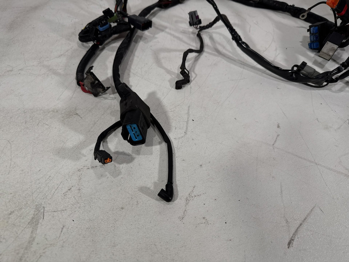 2005 Harley Dyna Wide Glide FXDWG OEM Main Wire Wiring Harness Loom CARB