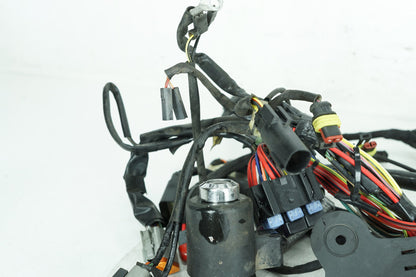 2004 - 2022 Harley-Davidson Sportster Iron 883 Main Wire Wiring Harness Loom  	70181-10