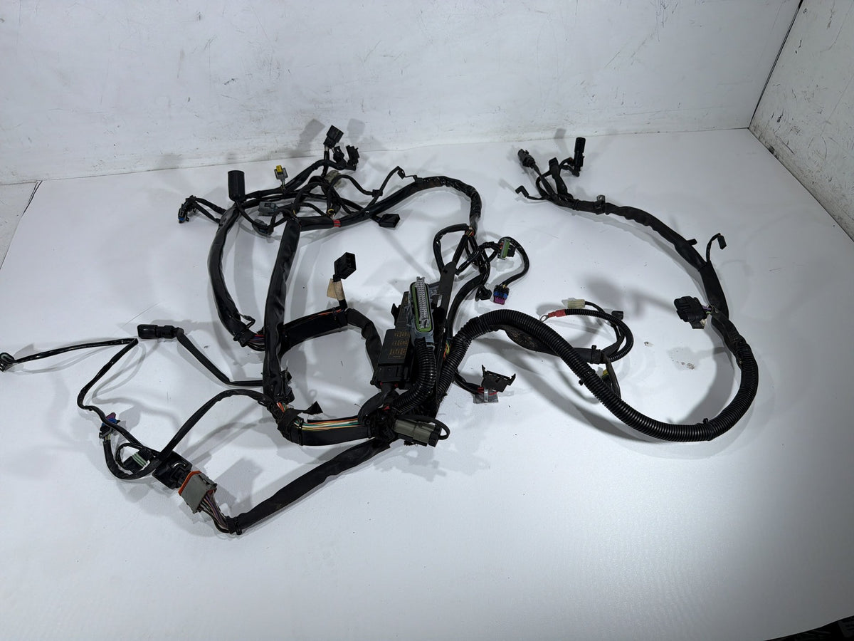 2008 Harley Softail Custom FXSTC OEM Main Wire Wiring Harness Loom