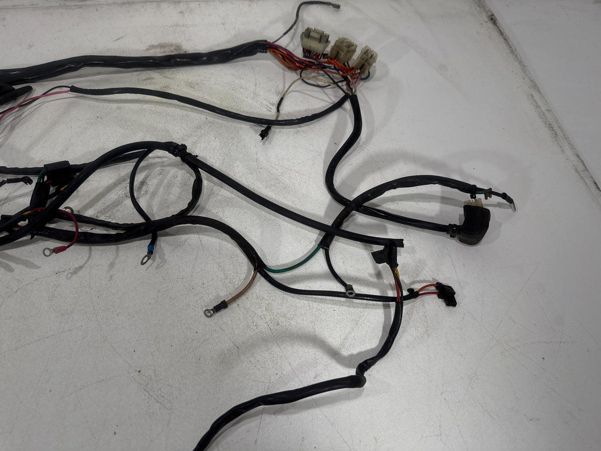 1994 Harley Softail Custom FXSTC OEM Main Wire Wiring Harness Loom CARB