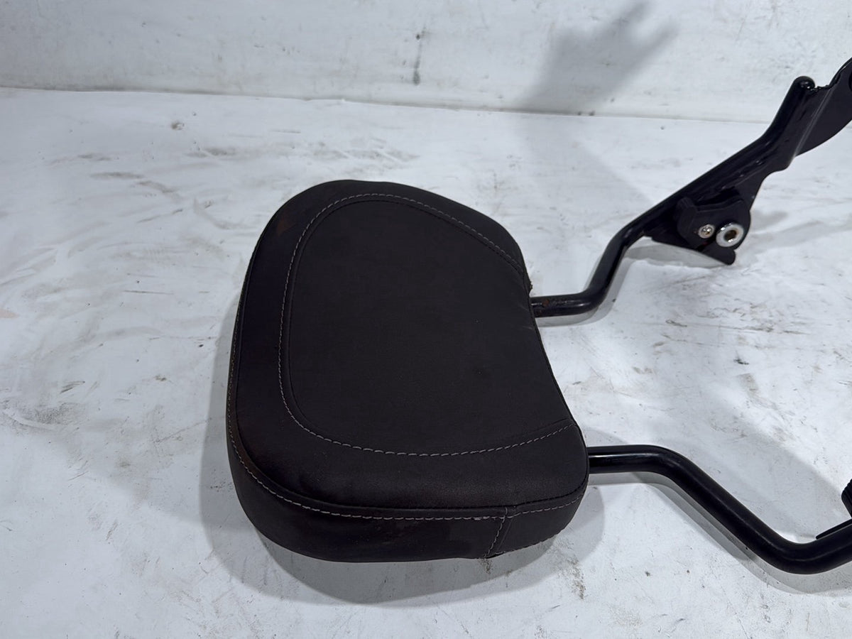 2022 Harley Road King Touring FLHR OEM Rear Sissy Bar w/ Backrest Cushion Pad