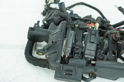 2004 - 2022 Harley-Davidson Sportster SuperLow Main Wire Wiring Harness Loom NON-abs 69200072B