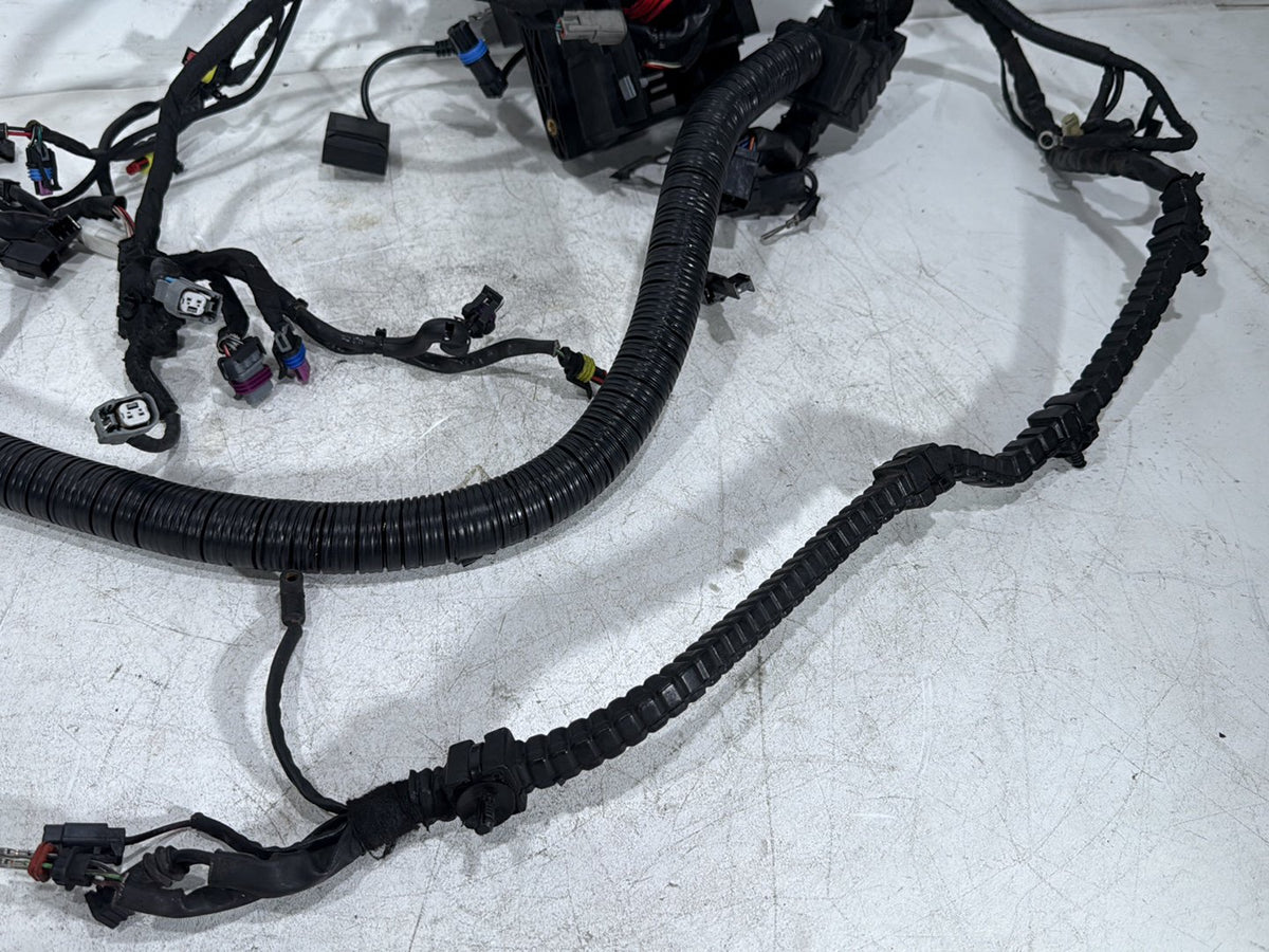 2014 Harley Dyna Low Rider FXDL OEM Main Wire Wiring Harness Loom NON-abs