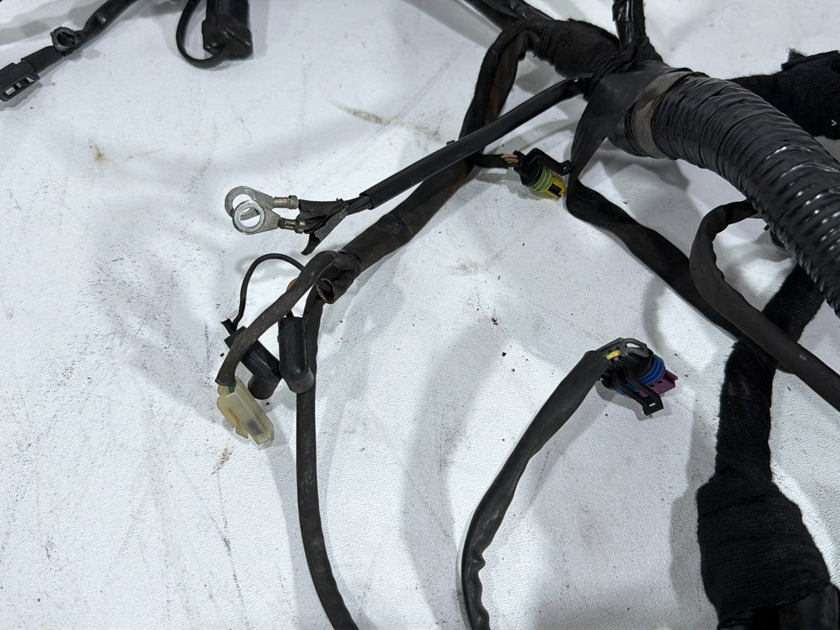 2007 Harley Dyna Street Bob FXDBI OEM Main Wire Wiring Harness Loom