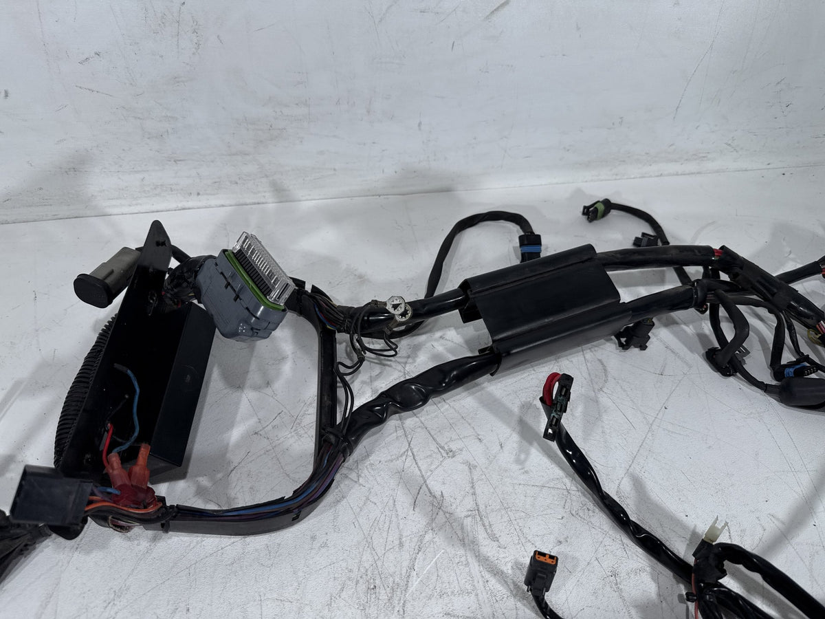 2003 Harley Softail Deuce FXSTDI OEM Main Wire Wiring Harness Loom EFI