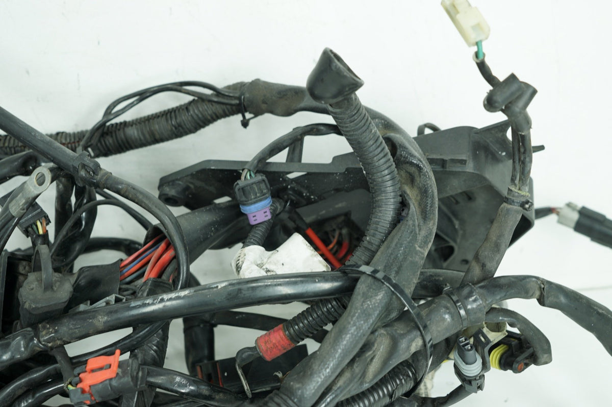 2010 Harley Touring Electra Glide Ultra OEM Main Wire Wiring Harness Loom ABS