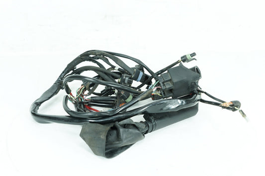 1999 - 2006 Harley-Davidson Touring Electra Glide Ultra Main Wire Wiring Harness Loom 70985-00