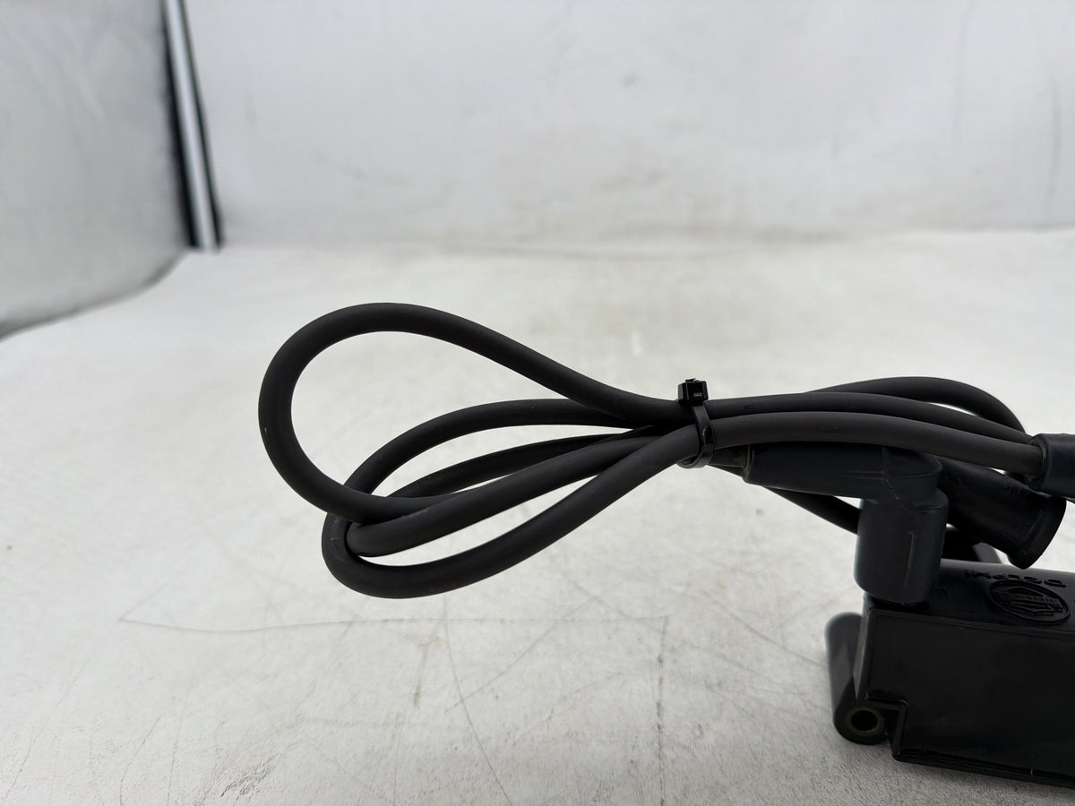 2009 Harley Electra Glide Touring CVO Eagle OEM Ignition Coil Spark Plugs Cable