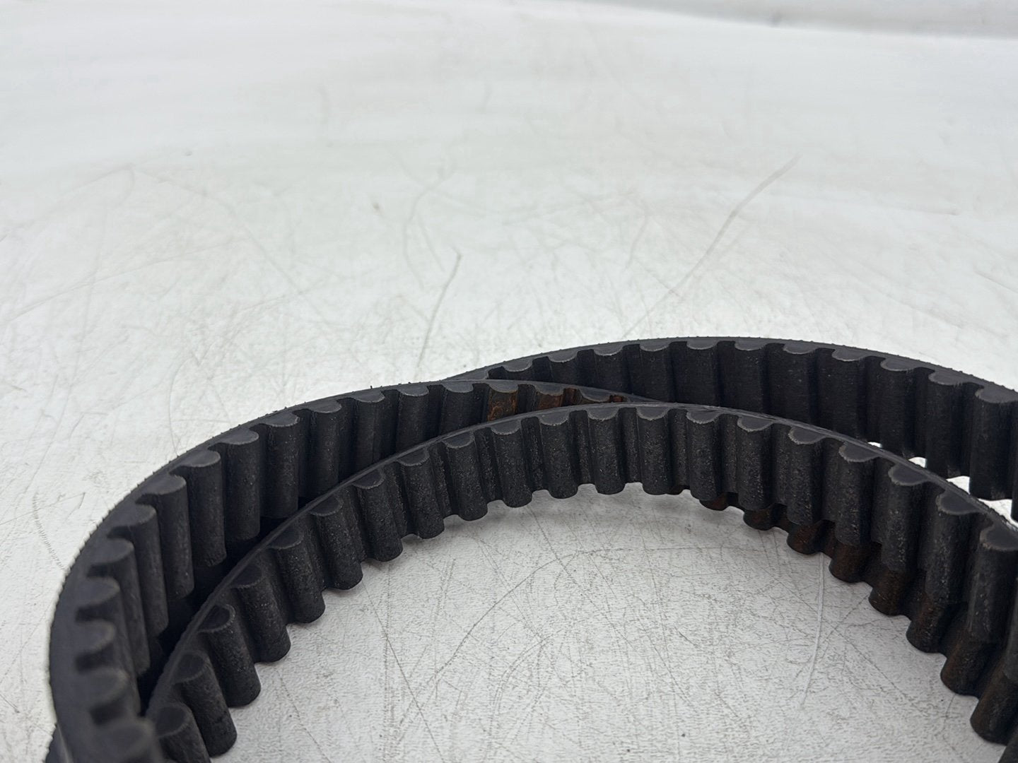 2008 Harley Dyna FXDL Low Rider Anniversary OEM Rear Drive Belt