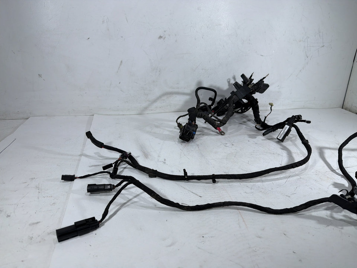 2020 Harley Softail Standard FXST OEM Main Wire Wiring Harness Loom NON-abs