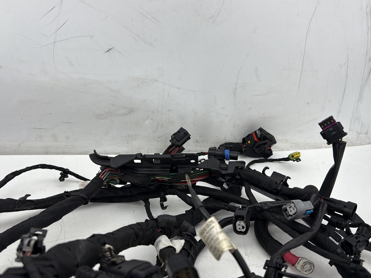 2019 Harley Softail Street Bob FXBB OEM Main Wire Wiring Harness Loom NON-abs