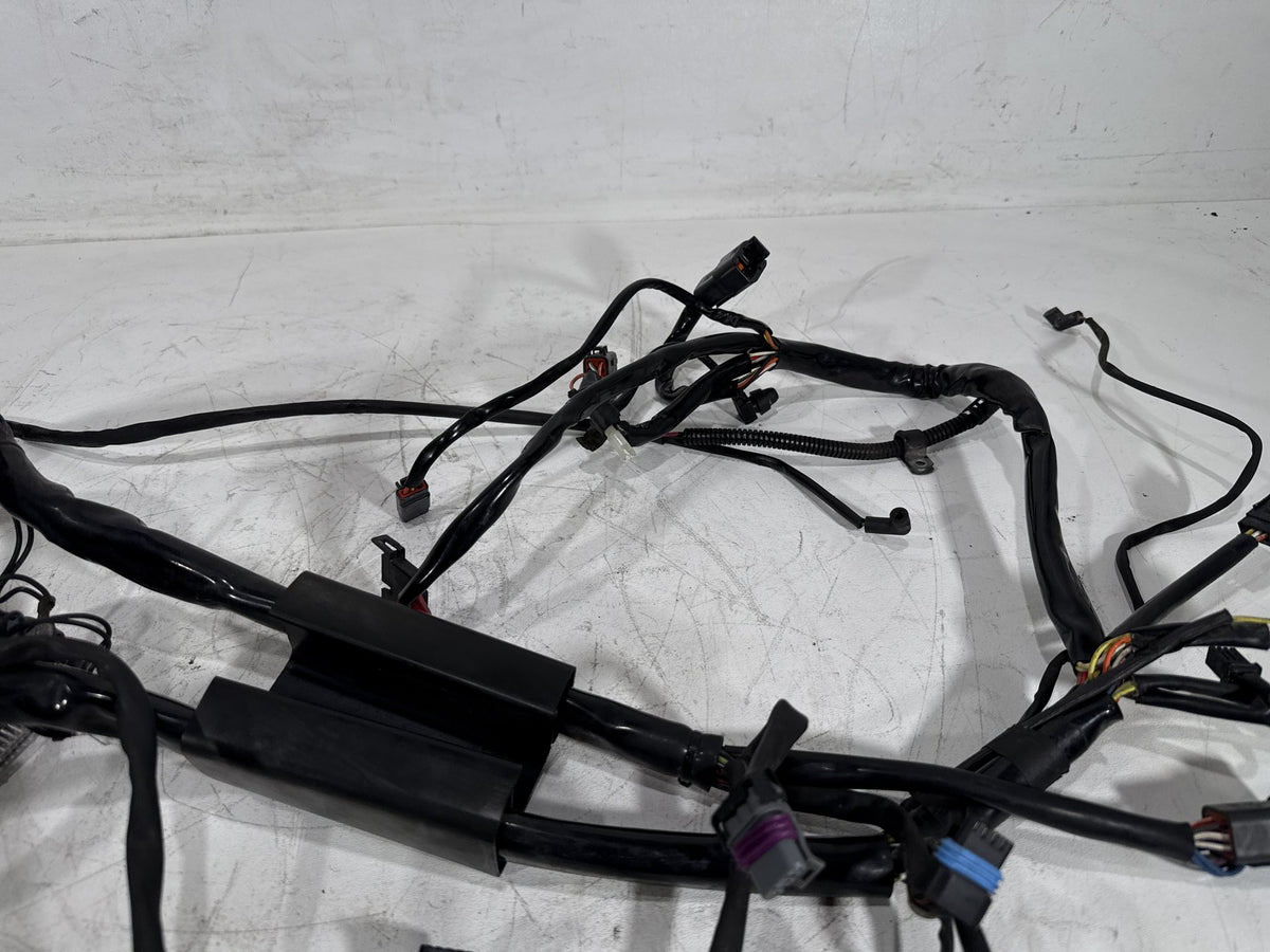 2003 Harley Softail Deuce FXSTDI OEM Main Wire Wiring Harness Loom EFI