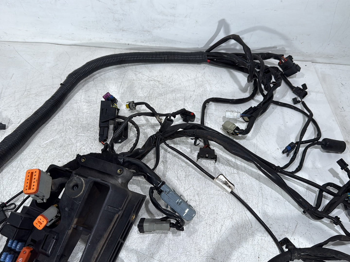 2007 Harley Dyna Street Bob FXDB OEM Main Wire Wiring Harness Loom