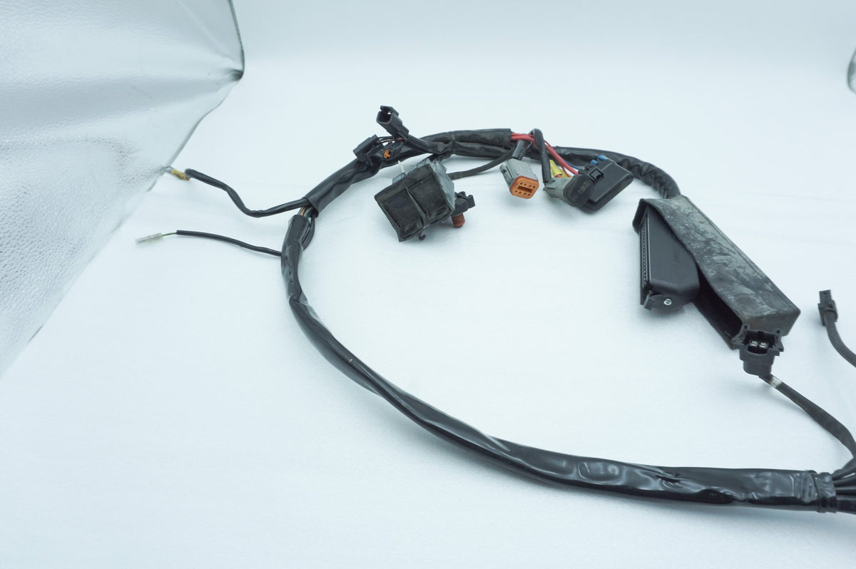 Wire Harness Loom Plug In Connector, 2001, Harley-Davidson, Touring, Electra Ultra, FLHTCUI