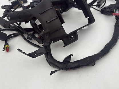 2004 - 2022 Harley-Davidson Sportster 1200 Nightster Main Wire Wiring Harness Ignition Switch NOKey 70181-10