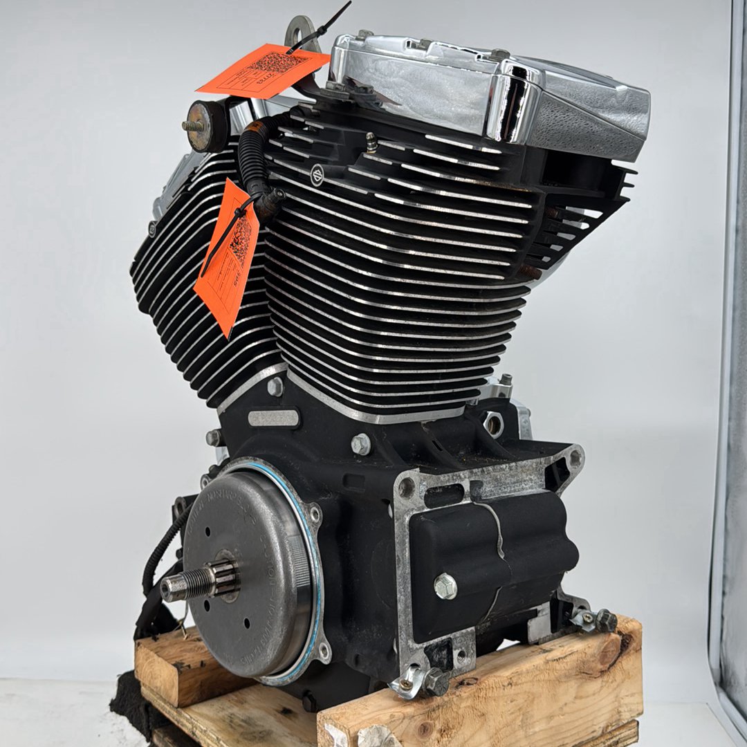 1999 - 2006 Harley-Davidson Softail Deluxe EFI Twin Cam 88 Engine Motor 19259-06