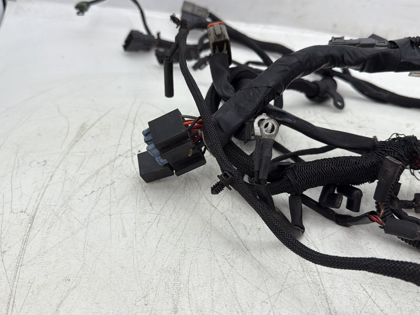 2004 Harley Sportster XL883C 883 Custom OEM Main Wire Wiring Harness Ignition Switch NOKey