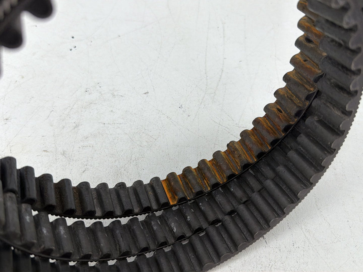 Rear Drive Belt