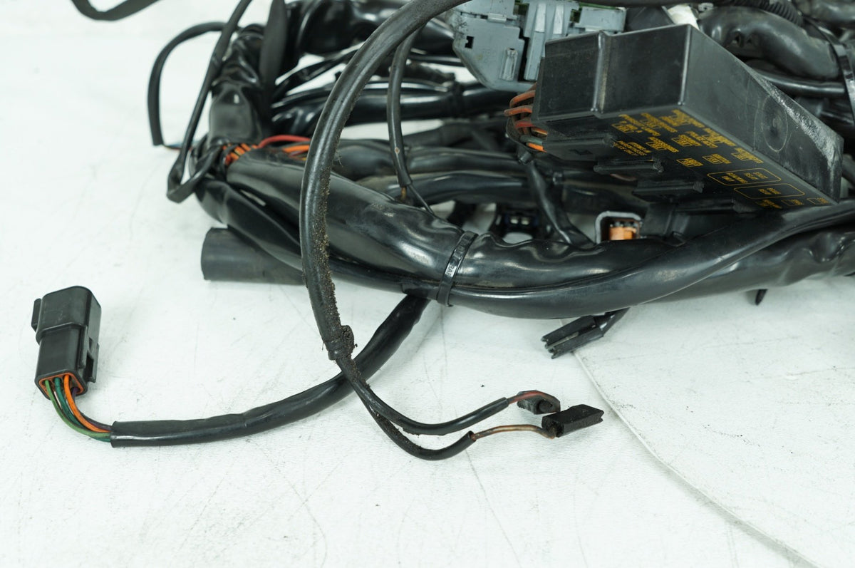 1999 - 2006 Harley-Davidson Touring Electra Glide Ultra Main Wire Wiring Harness Loom 70985-03