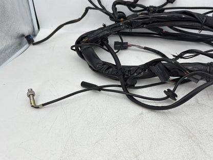 1999 - 2006 Harley-Davidson Touring Electra Glide Ultra Main Wire Wiring Harness Loom 70985-04