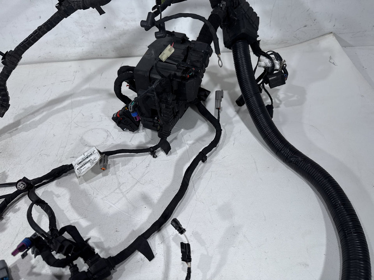 2016 Harley Dyna Fat Bob FXDF 103 OEM Main Wire Wiring Harness Loom