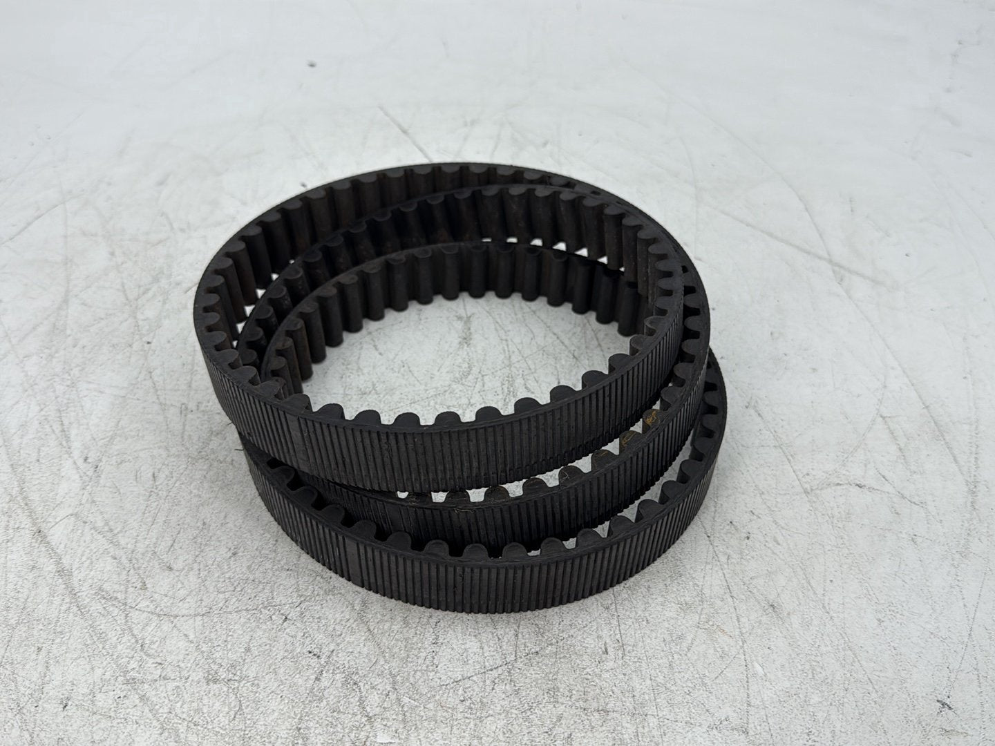 1997 Harley Sportster 1200 Custom XL1200C OEM Rear Drive Belt