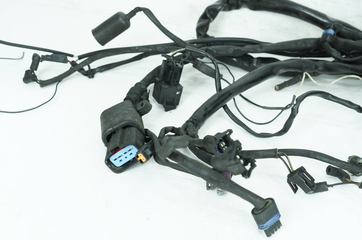 1999 - 2006 Harley-Davidson Dyna Low Rider Main Wire Wiring Harness Loom 69602-04A