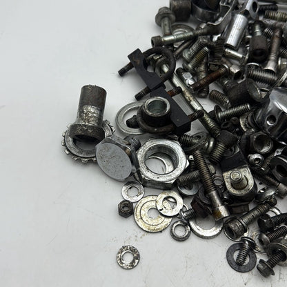 1999 - 2006 Harley-Davidson Softail Night Train Hardware Bolts Nuts & Brackets