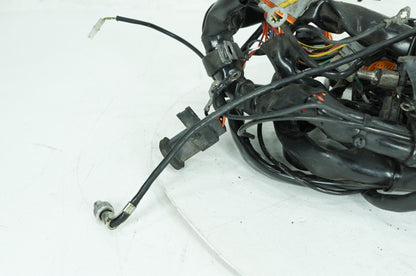 1999 - 2006 Harley-Davidson Touring Electra Glide Classic Main Wire Wiring Harness Loom 70985-01