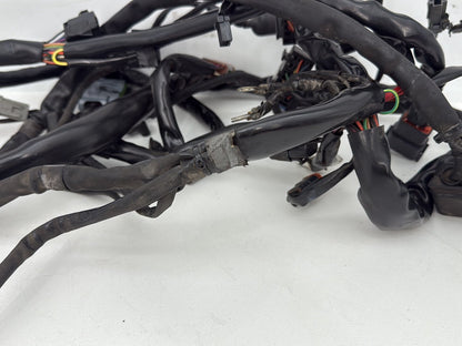1999 - 2006 Harley-Davidson Dyna Low Rider Main Wire Wiring Harness Loom 69602-04A