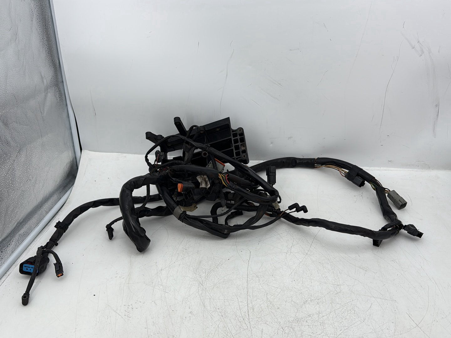 2005 Harley Dyna FXDWG Wide Glide OEM Main Wire Wiring Harness Loom